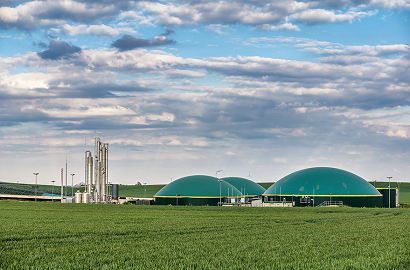 The Bioenergy in Spain The Bioenergy in Spain