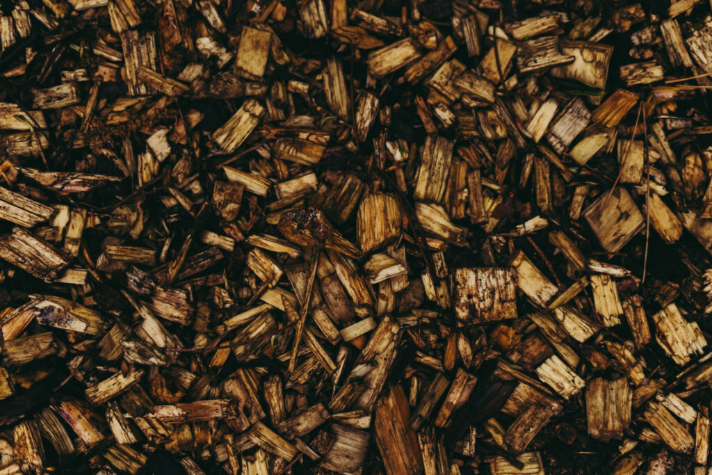The Bioenergy in France The Bioenergy in France