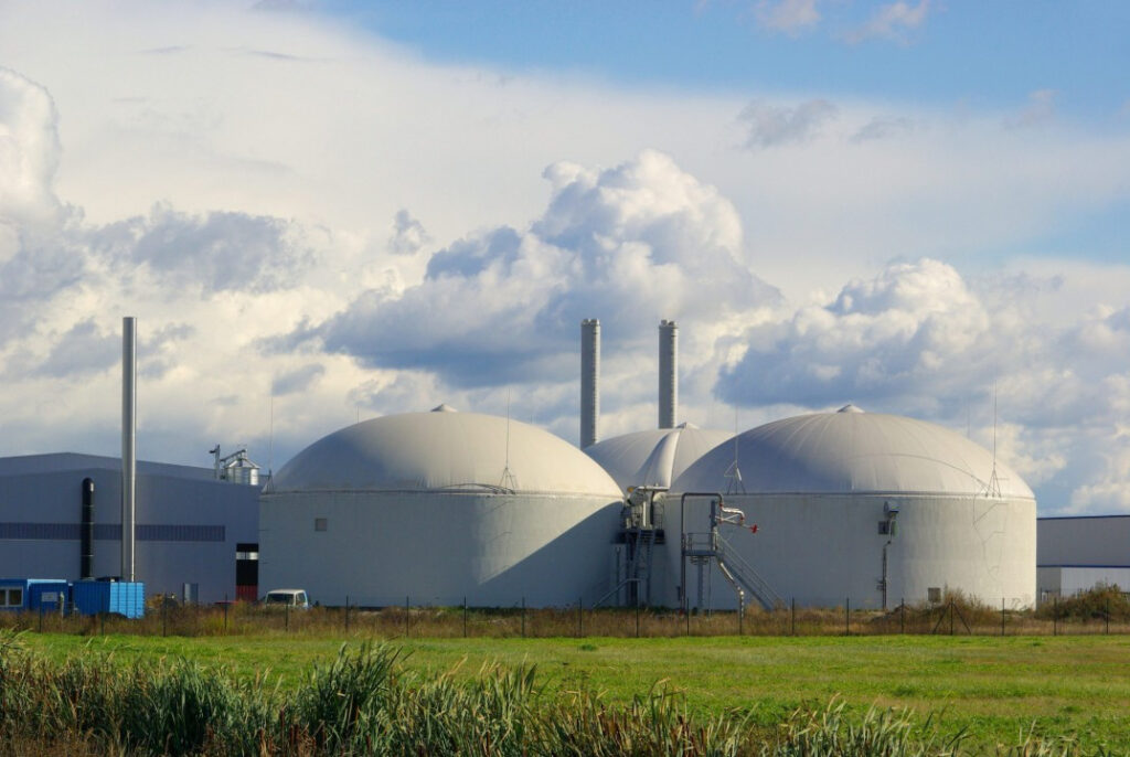 The Bioenergy in France The Bioenergy in France