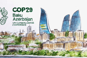 COP 29