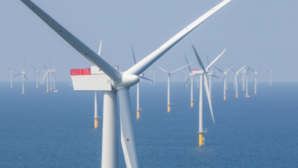 West of Duddon Sands Wind Farm Celebrates 10 Years of Renewable Energy