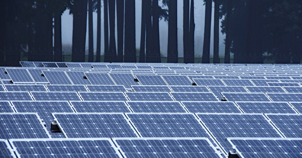 Michigan DNR Halts Solar Lease Proposal Near Gaylord Amid Public Outcry ...