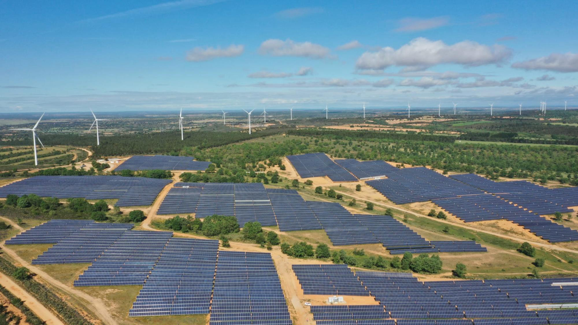 Da Vinci New Project Solar Park Completed in Romania - Vazoria