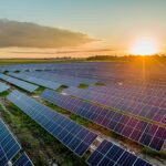 Pine Tree Solar Project