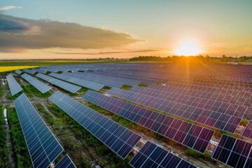 Pine Tree Solar Project