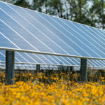 Wolf Run Solar