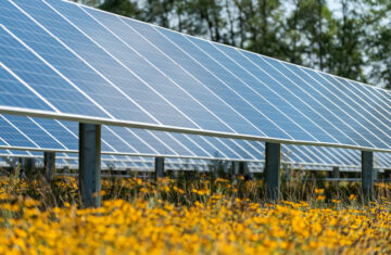 Wolf Run Solar