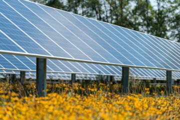 Wolf Run Solar