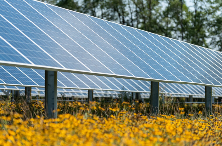 Wolf Run Solar