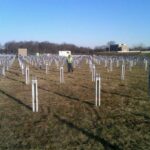 AEUG Union Solar farm