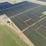 AP Sunray solar farm