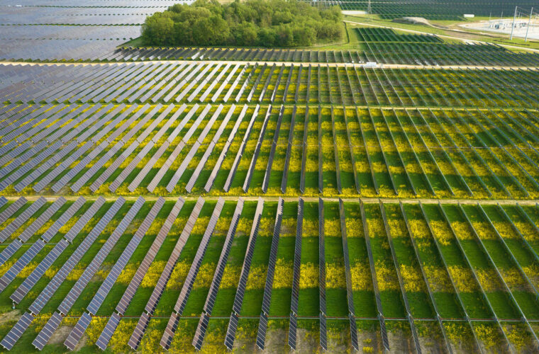 Bellflower Solar farm 1