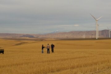 Biglow Canyon Wind Farm