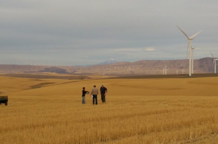 Biglow Canyon Wind Farm
