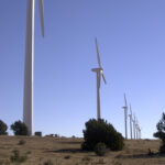 Brazos Wind Farm
