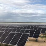 Buckthorn Westex solar farm