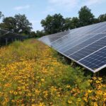Chesapeake Solar Project