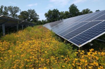 Chesapeake Solar Project