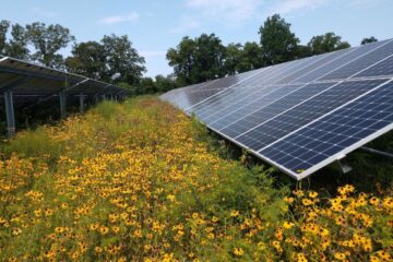 Chesapeake Solar Project