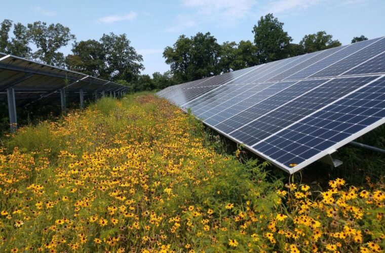 Chesapeake Solar Project