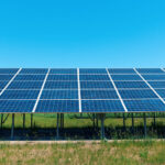 Chestnut solar farm