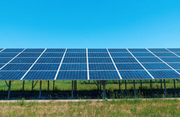 Chestnut solar farm