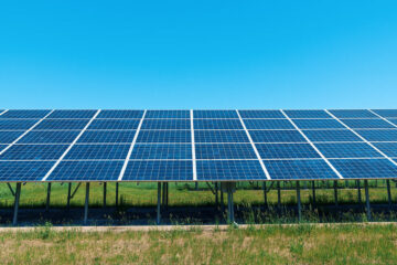 Chestnut solar farm