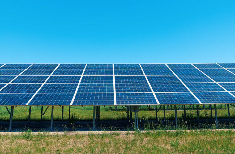 Chestnut solar farm