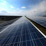 Coniglio Solar farm