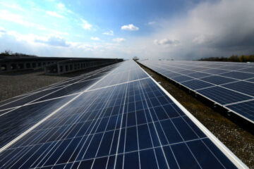 Coniglio Solar farm