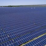 Delilah Solar Energy