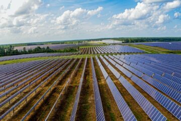 Elara Solar farm