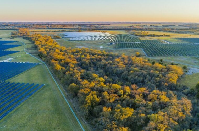 Elm Branch Solar 1