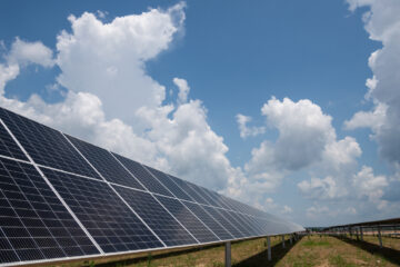 Elora Solar farm