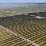 Fort Bend Solar farm