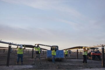 Galloway 1 Solar Farm