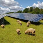 Ganado Solar farm