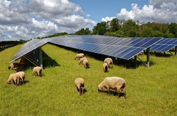 Ganado Solar farm