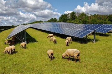 Ganado Solar farm