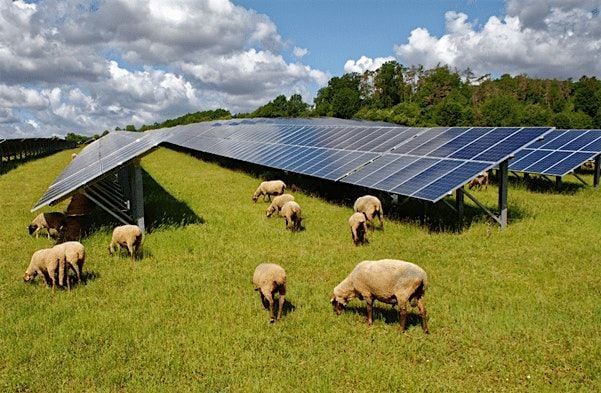 Ganado Solar farm