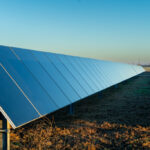 Harvest Gold Solar