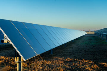 Harvest Gold Solar