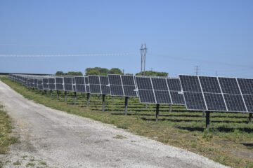 Holliday Creek Solar farm