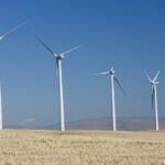 Leaning Juniper Wind Farm