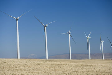 Leaning Juniper Wind Farm