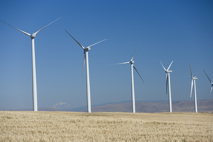 Leaning Juniper Wind Farm