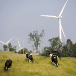 Maple Ridge Wind Farm