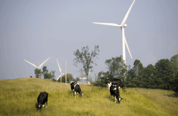 Maple Ridge Wind Farm