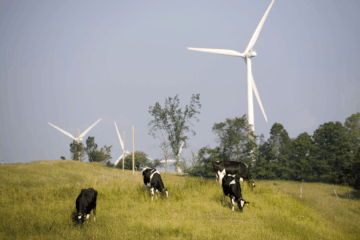 Maple Ridge Wind Farm