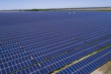 Mockingbird Solar Center